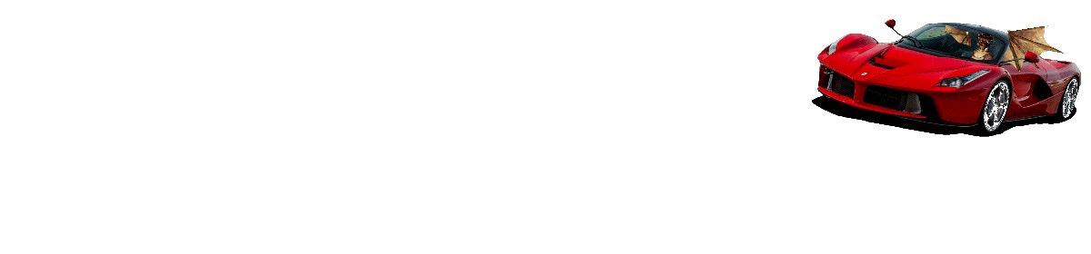 Fe